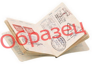 Tipos de visados rusos: Resumen